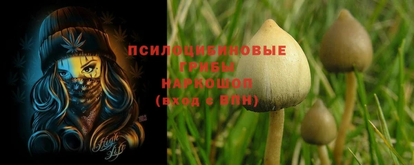 МДПВ Протвино