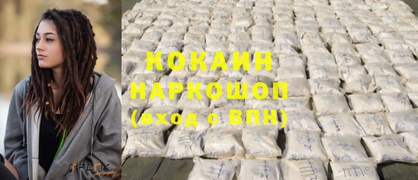 МДПВ Протвино
