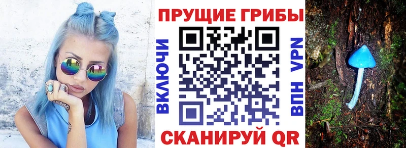KRAKEN маркетплейс  Советск  Псилоцибиновые грибы Psilocybe  хочу наркоту 