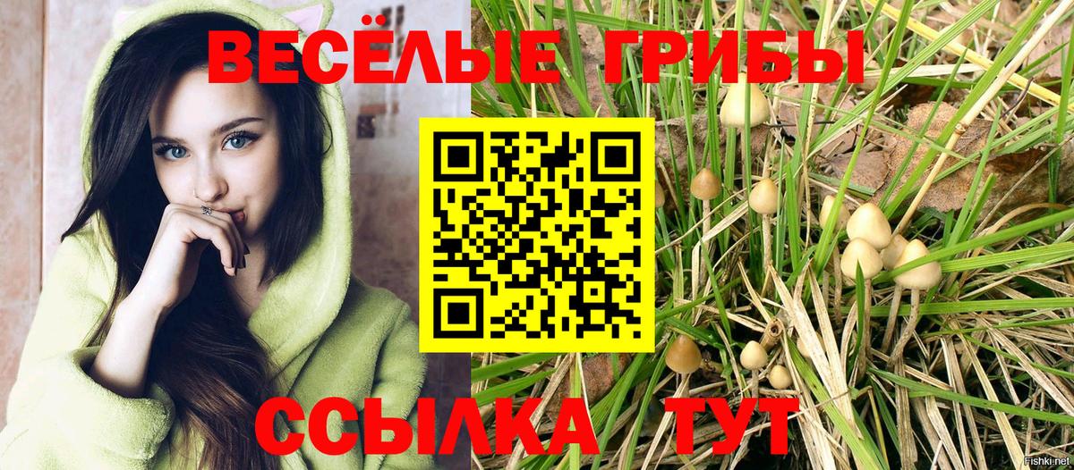 Псилоцибиновые грибы Magic Shrooms Советск